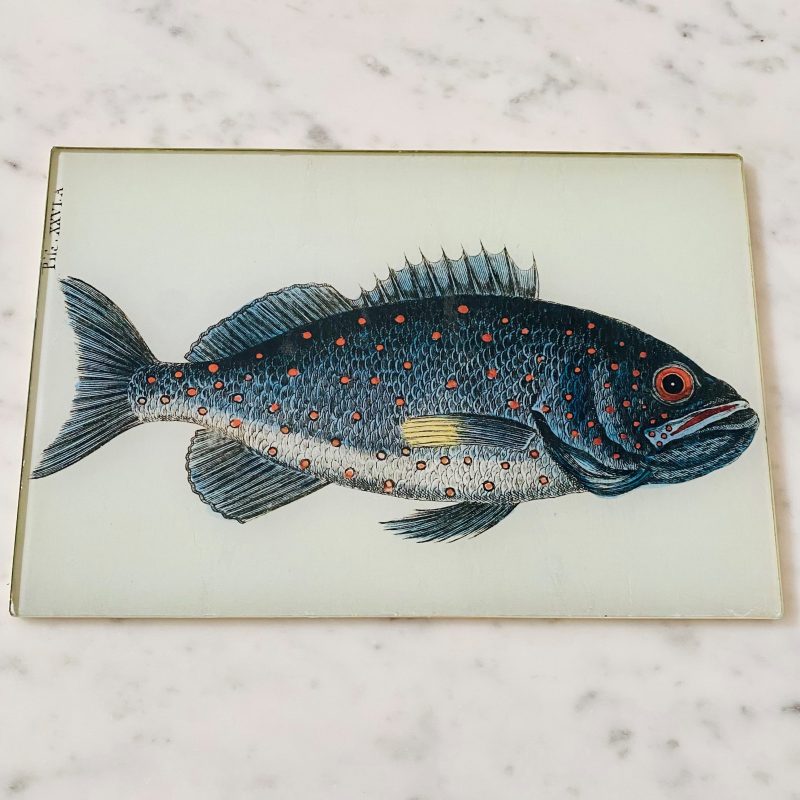 fish decoupage glass placemat serving mat image